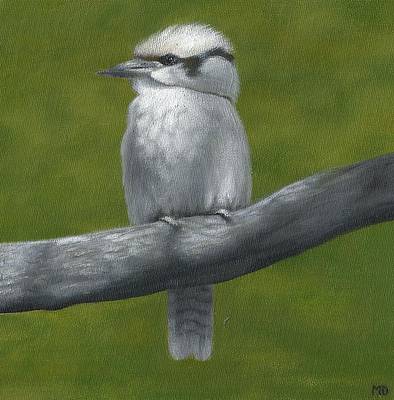 Kookaburra, acrylic on canvas, 2015