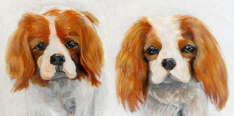 Portrait of Two Cavalier King Charles Spaniels, mixed-media on archival paper, commission, 2016